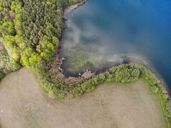 High angle view of plants by sea