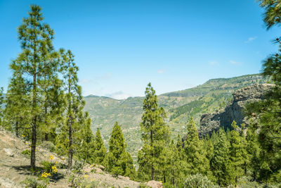 Scenic view of mountains against clear sky