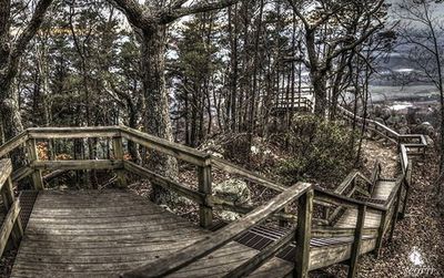 Railing with trees in background