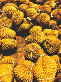 Full frame shot of yellow flowering plants