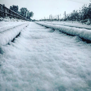 Snow covered road by trees against sky