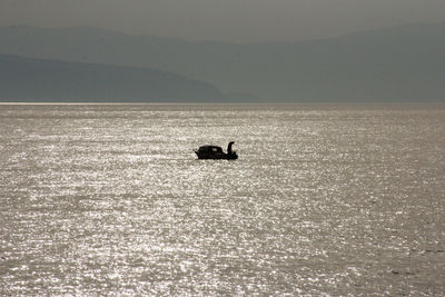 Silhouette man swimming in sea against sky