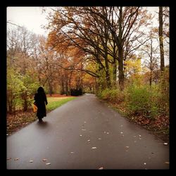 People walking on road