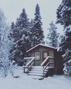 Snow covered houses and trees by house during winter
