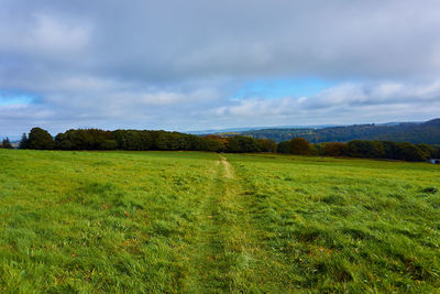 Scenic view of field against sky