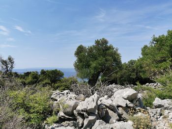 Rocks on shore against sky