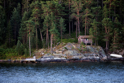 House on hill by river in forest