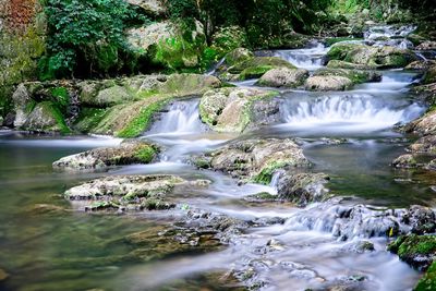 Scenic view of waterfall in forest