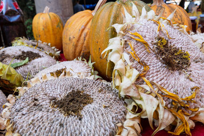 Close-up of pumpkin for sale at market stall