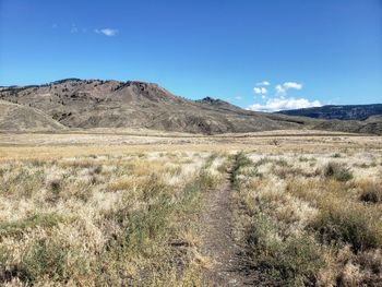 Scenic view of field against clear blue sky