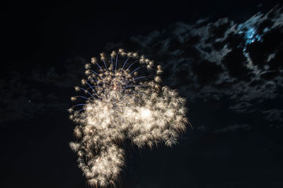 Low angle view of firework display at night