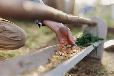 Midsection of woman putting food for bird