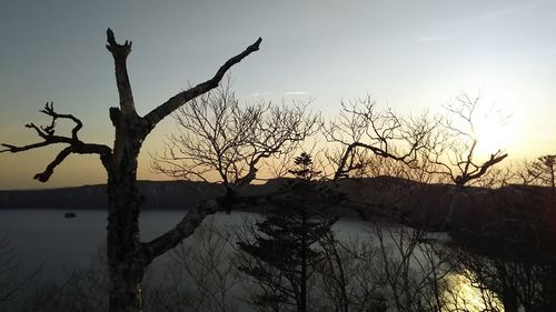 Bare tree by lake against sky