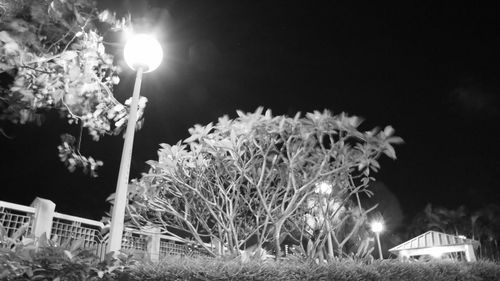 Close-up of illuminated lights against clear sky at night