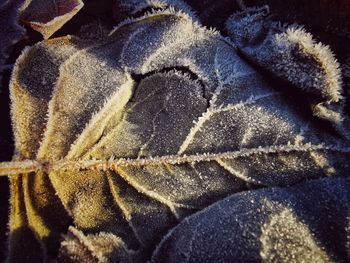 Full frame shot of snow