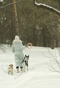 Dogs on snow covered field