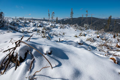 Snow covered field against sky