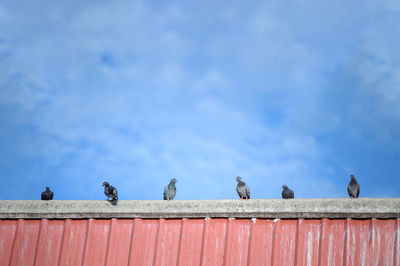 Low angle view of birds perching on roof against sky