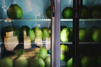 Coconuts in refrigerator at store