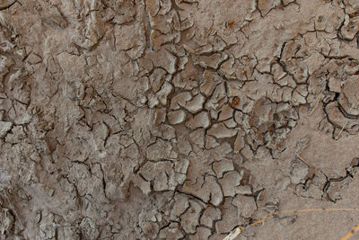 Full frame shot of cracked surface