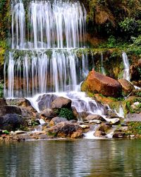 Scenic view of waterfall in forest