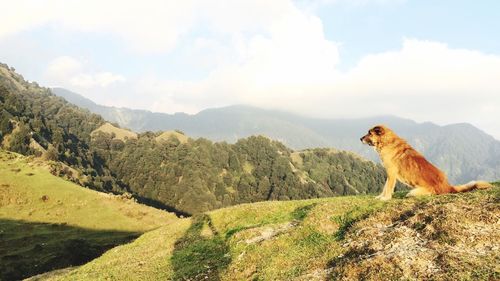 Scenic view of mountain against sky