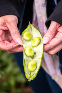 Close-up of hand holding fruit