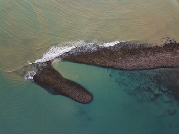 High angle view of rock on sea shore