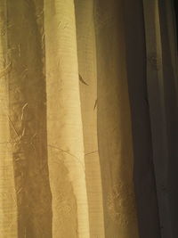 Full frame shot of white surface