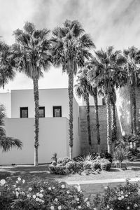 Built structure with trees in background