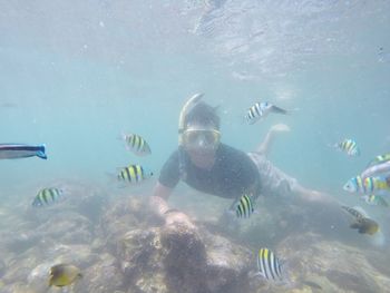 Man swimming in sea