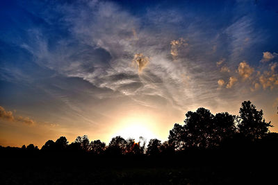 Silhouette trees against sky during sunset