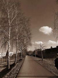 Empty road by bare trees against sky