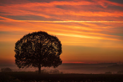 Scenic view of sunset