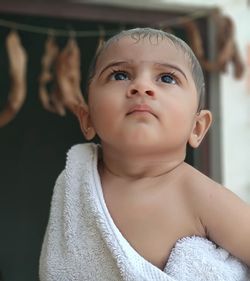 Portrait of boy looking at camera