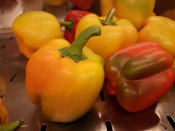 Close-up of bell peppers on metal