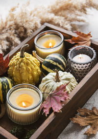 Fall composition with multi color pumpkins on rustic background