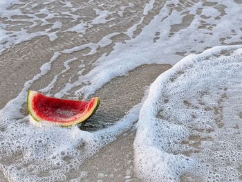 A watermelon rind washed up on a beach in mexico