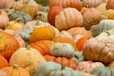 Full frame shot of pumpkins in market