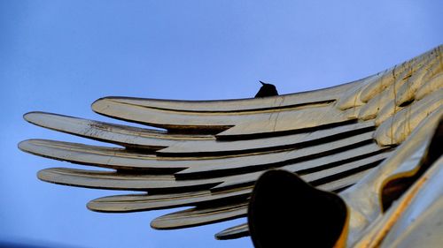 Angels wing, siegessäule berlin, 