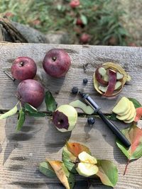 High angle view of fruits on table