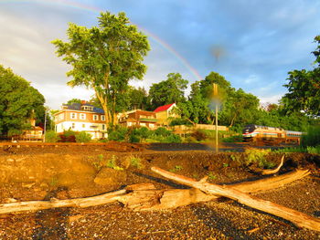 Houses and trees against sky