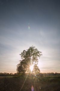 Scenic view of grassy field against sky at sunset