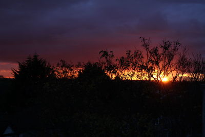 Silhouette trees against sky at sunset