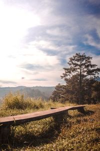 Railroad track amidst trees against sky