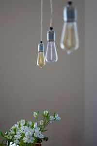 Close-up of illuminated light bulb