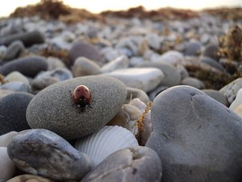 Close-up of stones on pebbles