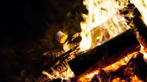 Close-up of bonfire at night