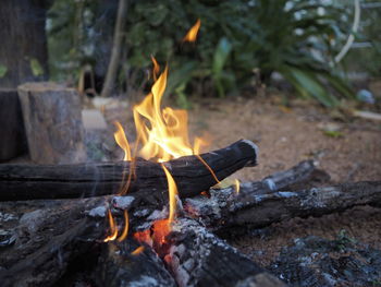 Close-up of bonfire