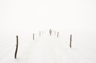 Rear view of person on snow covered field